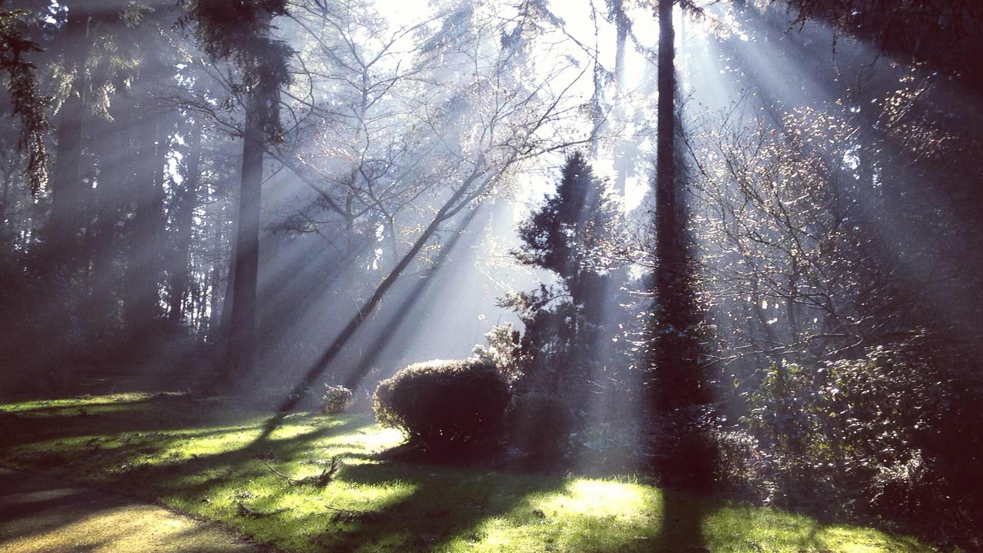 Meghosszabbított jelentkezés a vándortábor-vezető képzésre